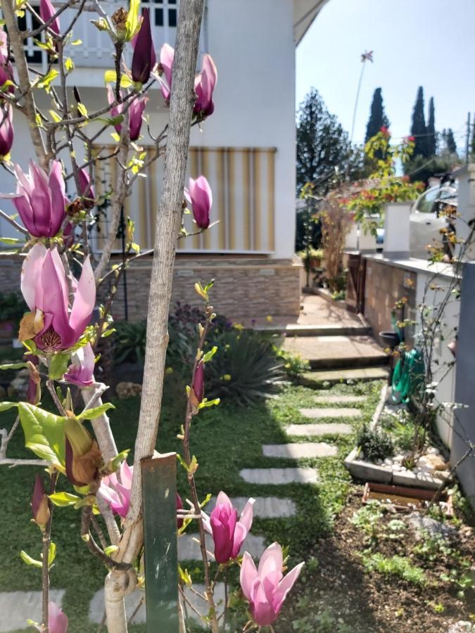 Ferienhaus La Perla Della Conca D'oro Palermo
